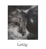 lolly puss
