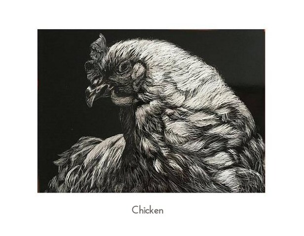 chicken