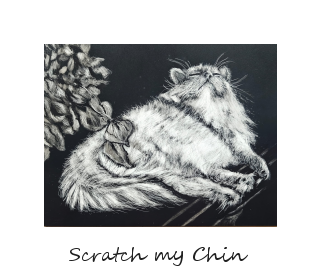 scratch my chin